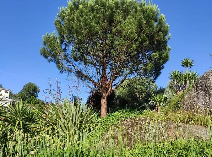 Do Pires Vakantiehuis *