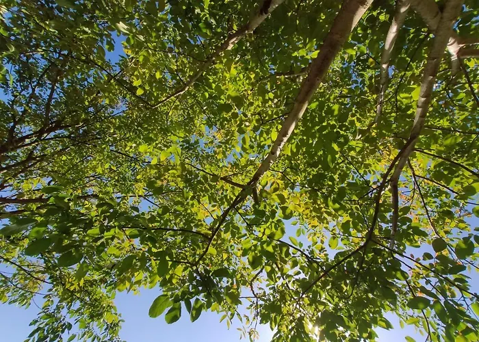 Vakantiehuis Do Pires