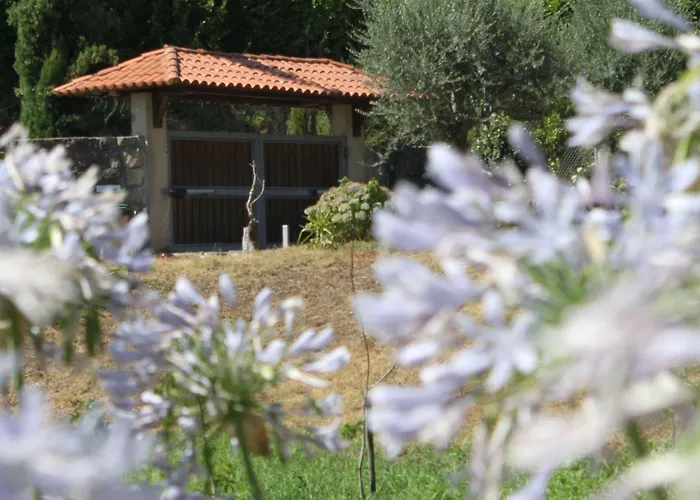 Do Pires Vakantiehuis Guimarães