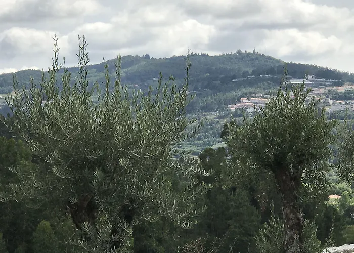 Vakantiehuis Do Pires Guimarães